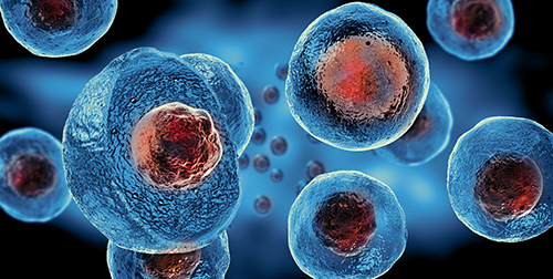 Interrelationships Among Post-translational Modifications